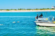 Dolphin Sightseeing Tour near Shell Island in Panama City Beach