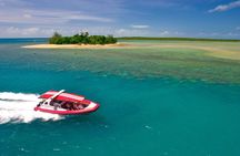 Half Day Low Island and Lagoon Snorkeling from Port Douglas