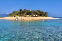 Half Day Low Island and Lagoon Snorkeling from Port Douglas