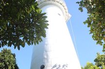 Half Day Low Island and Lagoon Snorkeling from Port Douglas