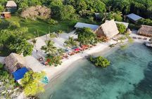 Private Beach Animals Sanctuary 