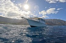 2 Tanks Scuba Dive Kaua'i from a Boat