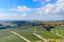 YokaBus Heritage in a Cup of a Yame Tea & Sake Tasting Expedition