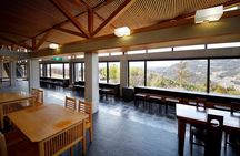 YokaBus Heritage in a Cup of a Yame Tea & Sake Tasting Expedition