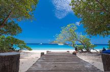 Similan Island day trip by Premium Speedboat
