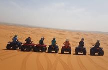Doha Quad Bike, Dune Bashing, Camel Ride and Inland Sea Tour