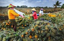 U Minh Thuong Forest and Pineapple Villages