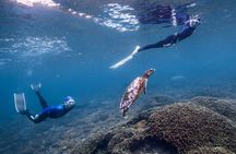 Private Snorkeling and Freediving Trip to Manta Point