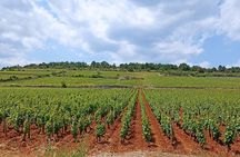Wine-Tour SUD BURGUNDY: The Maconnais and the Crus du Beaujolais