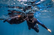 Private Snorkeling and Freediving Trip to Manta Point