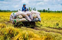 Biking Tour in The Pineapple Villages