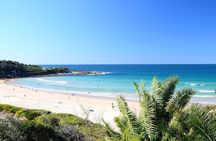 From Sydney: Full Day Tour of Golden Beaches and Ocean Vistas