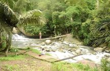 Jeep 4x4 Nature Tour in Paraty with Tasting