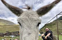 Guaranteed 4 days Group Tours in Tusheti - Departure Every Monday