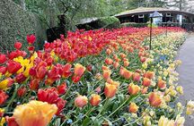 Butchart Gardens and Victoria City Private Luxury Tour 1-4 Pax