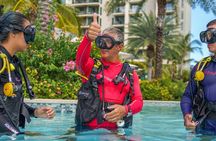 Learn to Scuba Dive in Grand Cayman