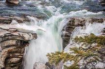 Caribou - Discover the Best of the Rockies (8-Days)