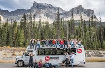 Caribou - Discover the Best of the Rockies (8-Days)