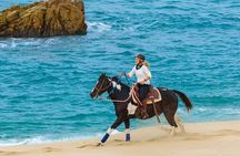 Day Pass Adventure in Los Cabos with Roundtrip Transport