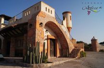 Visit 1 Cheese Factory and 2 Vineyards, starting from Querétaro