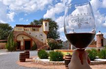 Visit to 3 Vineyards in the Region, departing from Querétaro