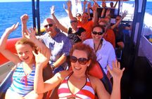 Half Day Outer Reef Snorkelling Tour from Port Douglas