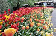 Butchart Gardens and Victoria City Private Luxury Tour 1-7 pax
