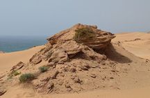 Desert Sandboarding Adventure From Agadir or Taghazout