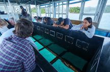 Okinawa Ishigaki Island Private Tour
