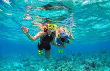Tiran Island Boat Cruise from Sharm el Sheikh