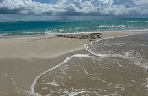 Half Day Private Sun and Snorkel exploring the Turks and Caicos