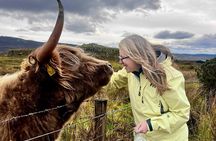 'Luke Skye-Walkers' 1 Day Isle of Skye Adventure + Hike Options 