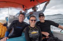 Dive Coiba and Stay at Bambuda Hotel Santa Catalina 4 days 