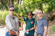 Native Australian Food & Wine Forage Tour: Sydney Botanic Gardens