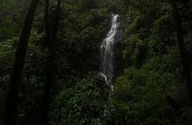 El Tigre Waterfall PRIVATE tour 