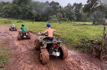 Unique Pineapple Farm Tour on 4 wheels