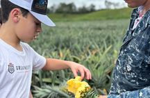Unique Pineapple Farm Tour on 4 wheels