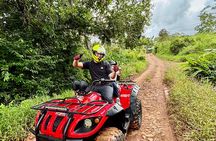 Unique Pineapple Farm Tour on 4 wheels