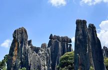 Stone Forest + Yiliang Roast Duck + Kunming City Private Tour