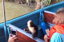 Monkey Island: The Wild Life Safari at Gatun Lake
