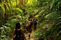 2 Days Multi Adventure in Nam Ha NPA: Trek and Kayak