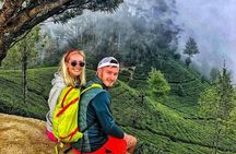 5 Days Private Guided luxury Tour in Sri Lanka