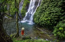 Most Beautiful Waterfall: Banyumala Waterfall