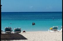 Roatan private Snorkeling Combo Sloths Monkey West Bay beach