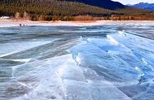 Columbia Icefield Sunwapta Falls Peyto Bow Lake Crowfoot Glacier