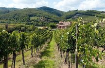 Full Day Chianti, San Gimignano and Siena Tour with Wine Tastings