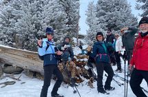 Self Guided Snowshoe Experience at Lake Tahoe 