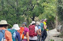 Rivers & Mountains: Ourika Valley Journey
