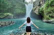 Ubud Tour Water Temple with Jungle Swing