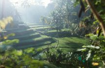 Ubud Tour Water Temple with Jungle Swing